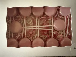 Cakepop20basic 1775179534 1 20'x20' High Peak Tent Premium Package